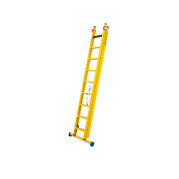 Kunststof reformladder 2x10 gevelridder b