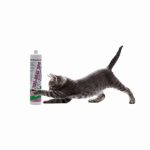 Hybriseal 2PS 290ml wit kit