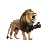 Type C USB-kabel voor de Li-ion batterij